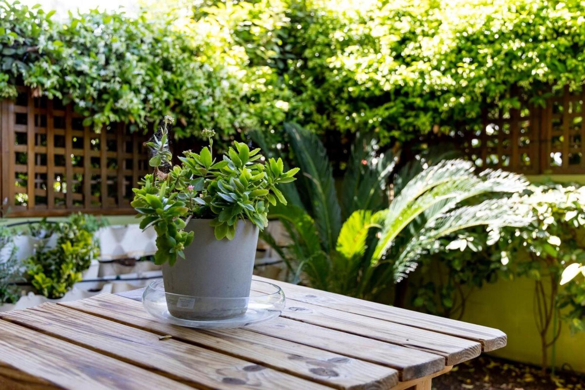 The Garden House At Alimos Apartment Athens Exterior photo